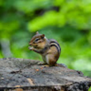 Meet your Posher, Travis